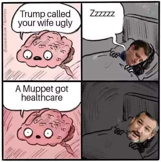 Trump calle your Wfe ugly A Mupet got healthcare