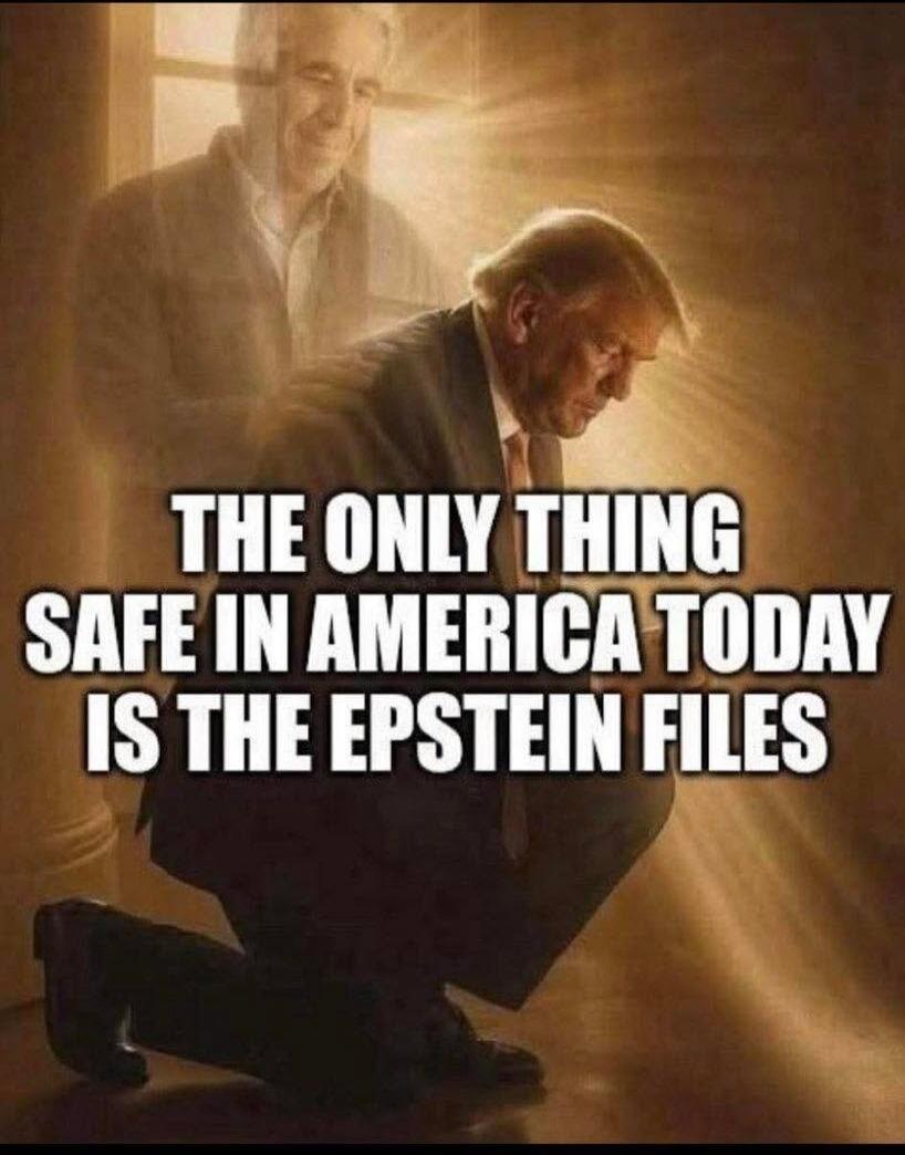 THE ONLY THING SAFE IN AMERICA TODAY IS THE EPSTEIN FILES