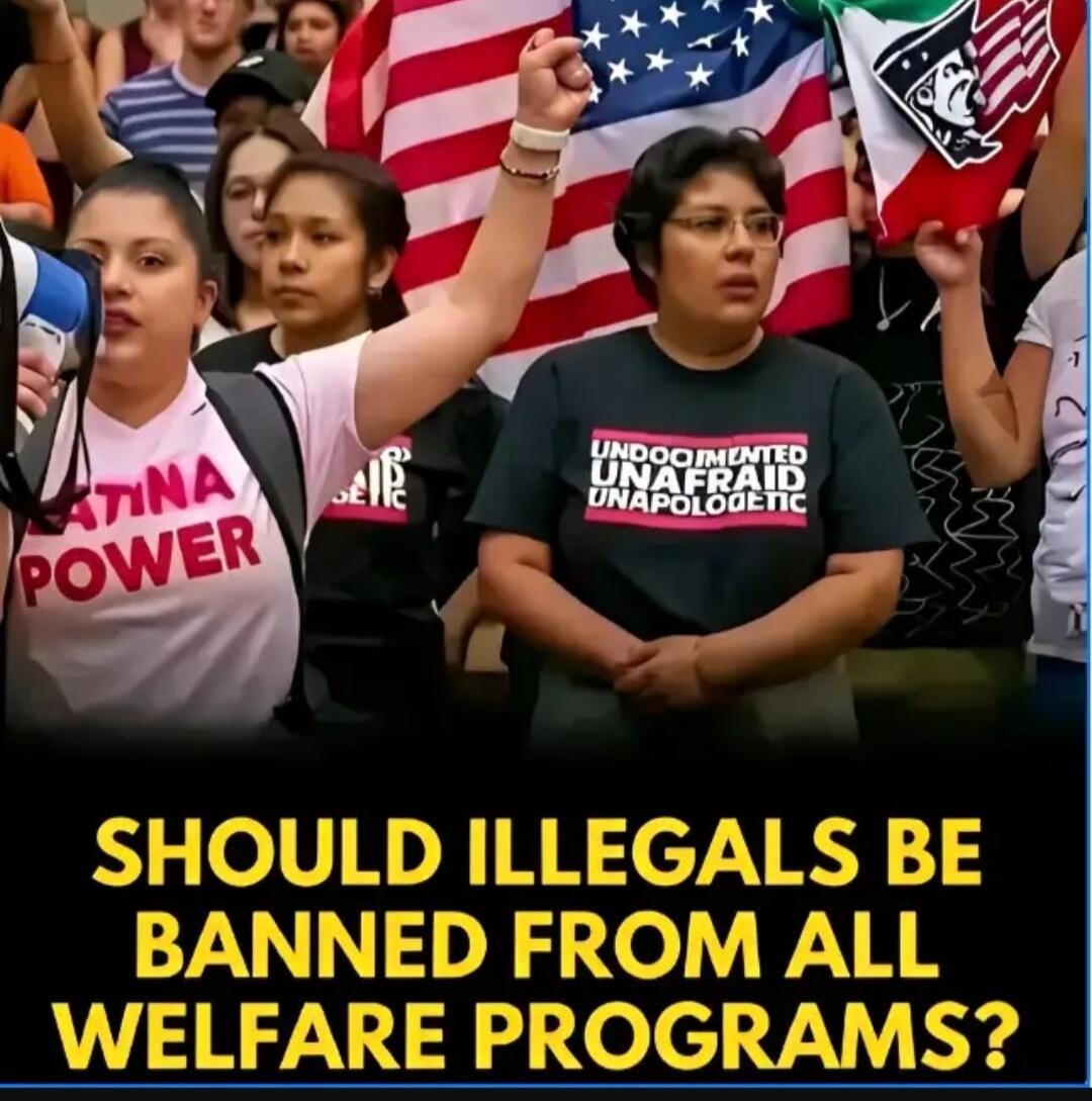 LATINA POWER UNDOCUMENTED UNAFRAID UNAPOLOGETIC SHOULD ILLEGALS BE BANNED FROM ALL WELFARE PROGRAMS?