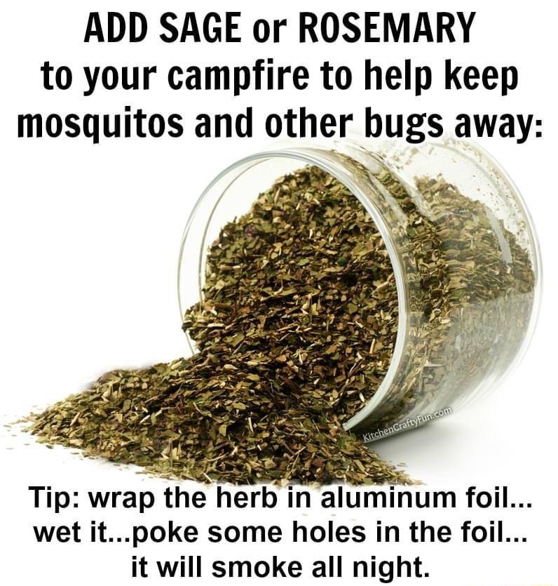 ADD SAGE or ROSEMARY to your campfire to help keep mosquitos and other bugs away Tip wrap the herb in aluminum foil wet itpoke some holes in the foil it will smoke all night