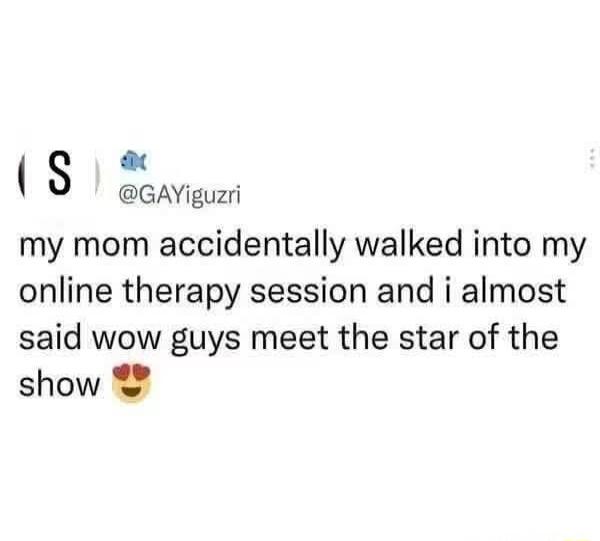 my mom accidentally walked into my online therapy session and i almost said wow guys meet the star of the show