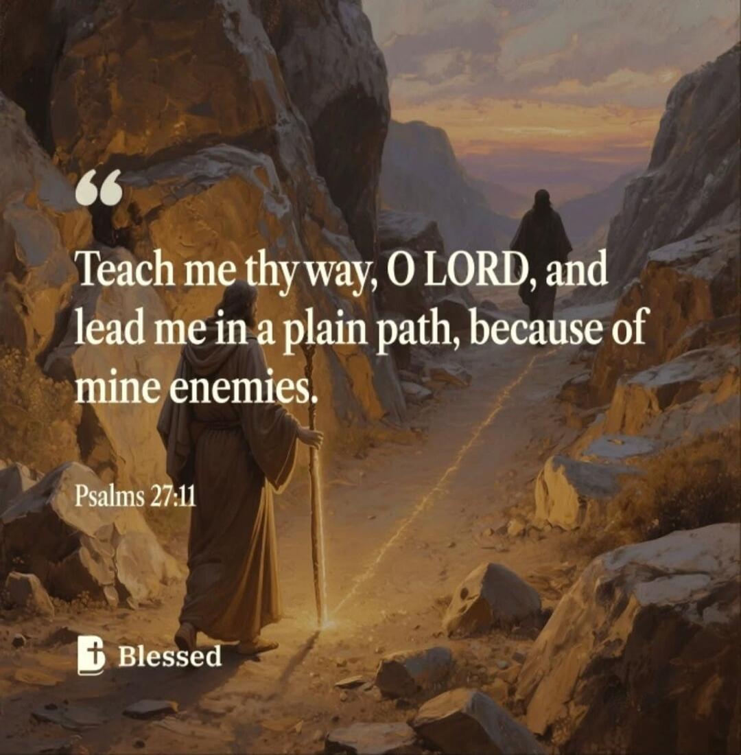 Teach me thy way, O LORD, and lead me in a plain path, because of mine enemies. Psalms 27:11