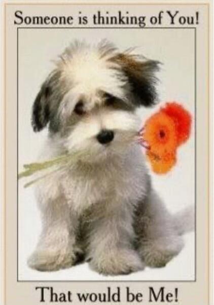 Someone is thinking of You! That would be Me!
