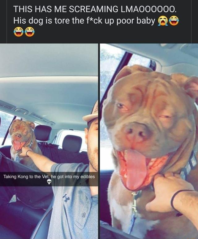 LI ISR VASH V STl N Nl W VVXeooe0o His dog is tore the fck up poor baby e Taking Kong to the Ve he got into my edibles