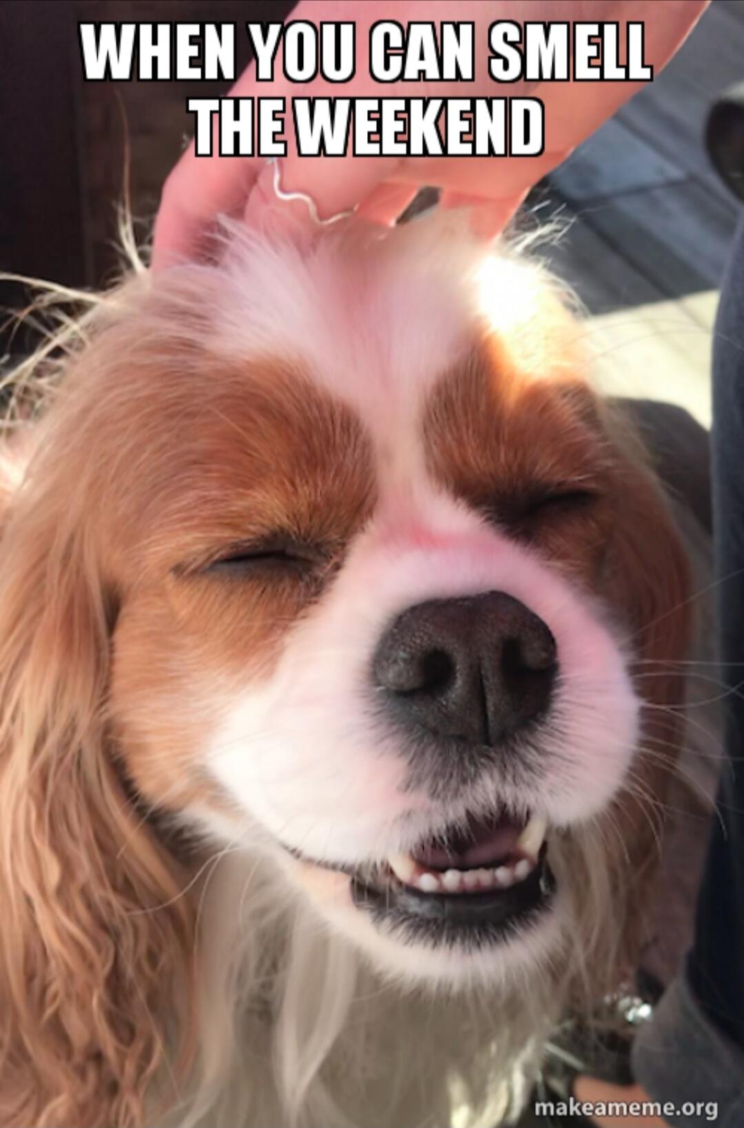 WHEN YOU CAN SMELL THE WEEKEND