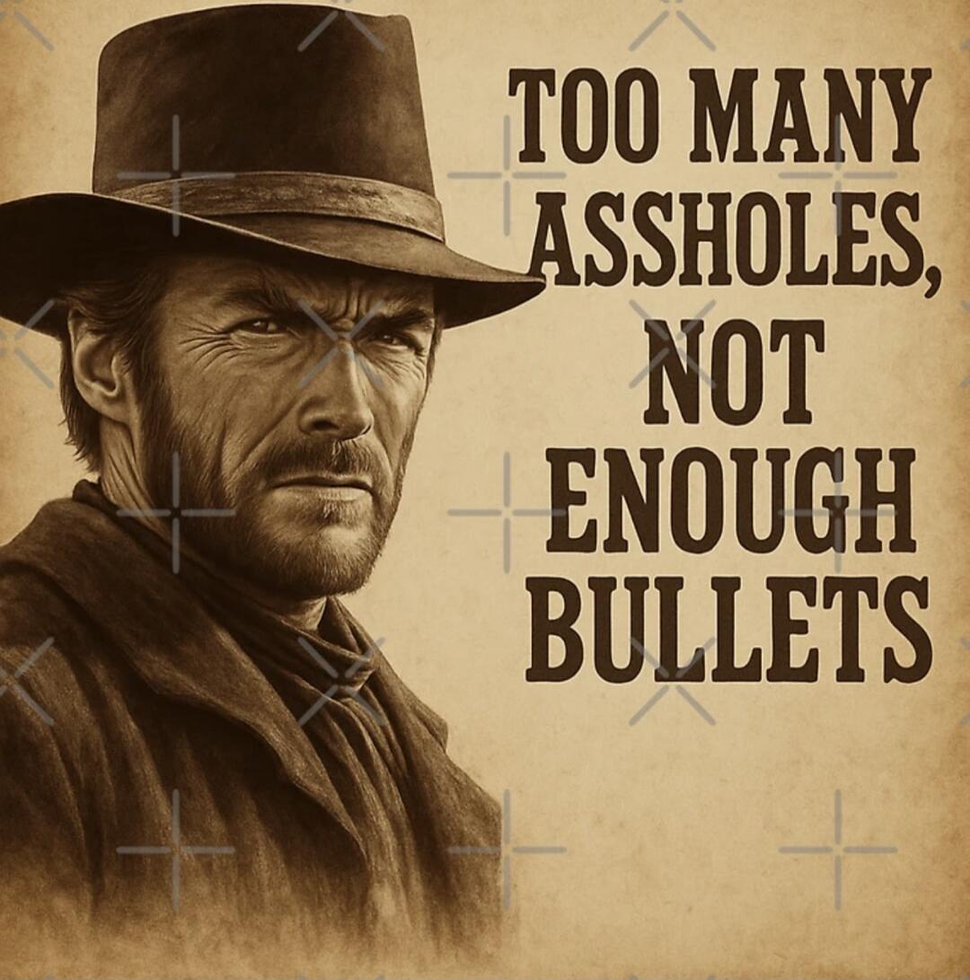 TOO MANY ASSHOLES, NOT ENOUGH BULLETS