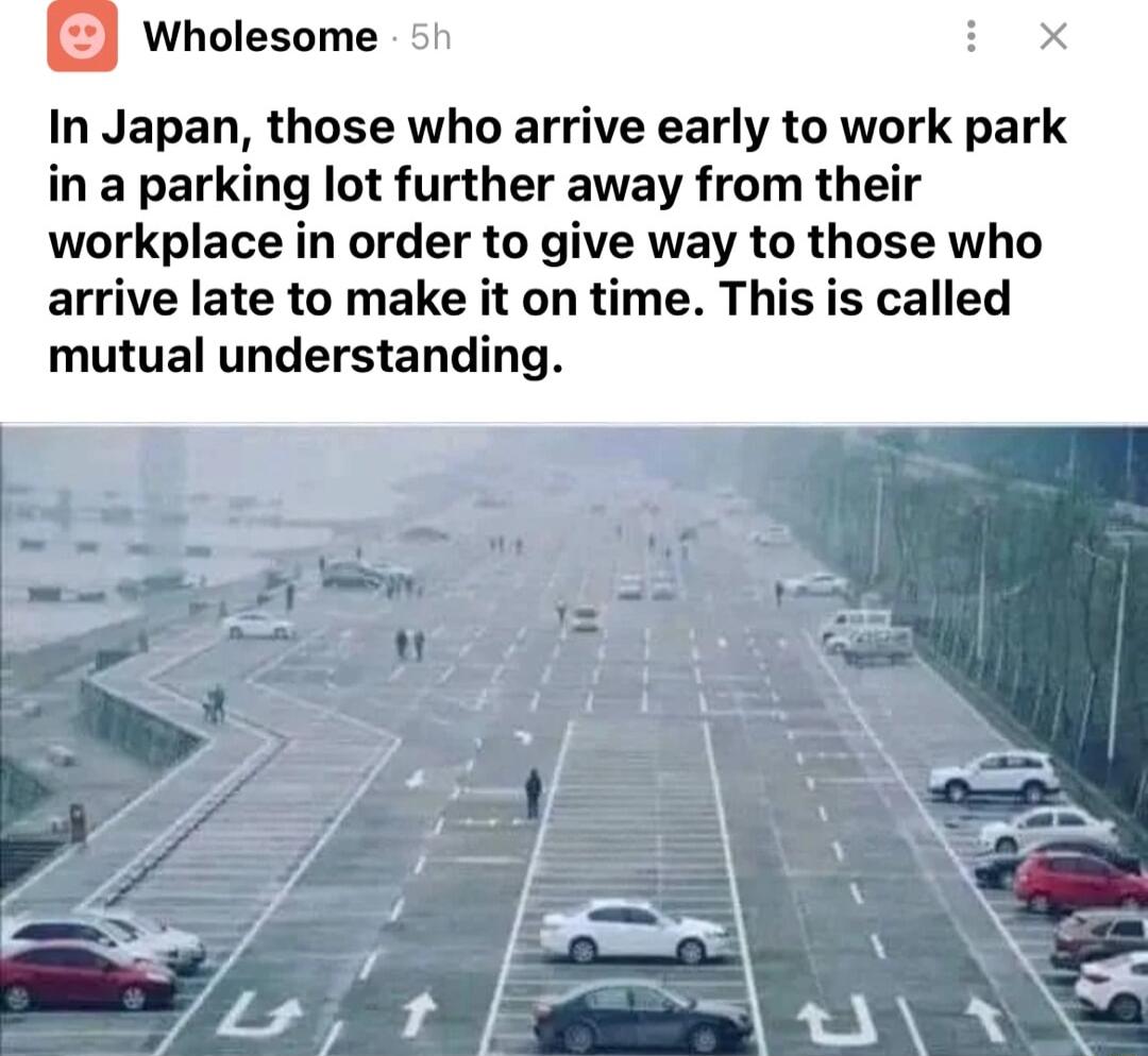 Wholesome 1 In Japan those who arrive early to work park in a parking lot further away from their workplace in order to give way to those who arrive late to make it on time This is called mutual understanding