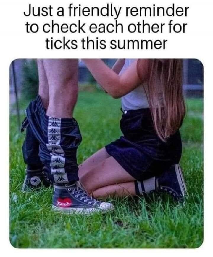 Just a friendly reminder to check each other for ticks this summer