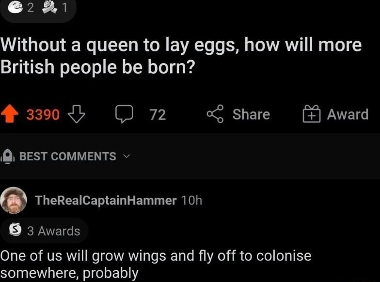 e Without a queen to lay eggs how will more British people be born Award 303 O 7n Share BEST COMMENTS 0 TheRealCaptainHammer 10h 3 Awards One of us will grow wings and fly off to colonise somewhere probably