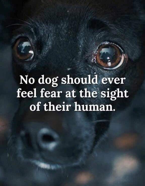 No dog should ever feel fear at the sight of their human.