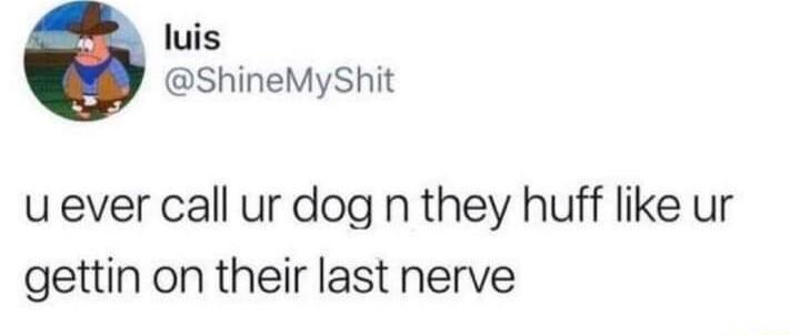 luis ShineMyShit u ever call ur dog n they huff like ur gettin on their last nerve