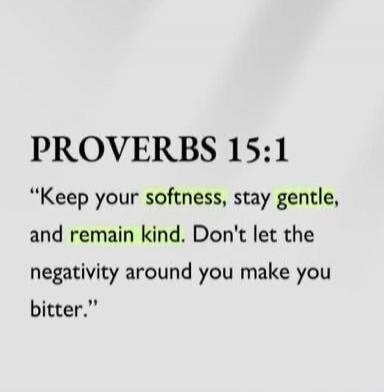 PROVERBS 15:1
“Keep your softness, stay gentle, and remain kind. Don't let the negativity around you make you bitter.”