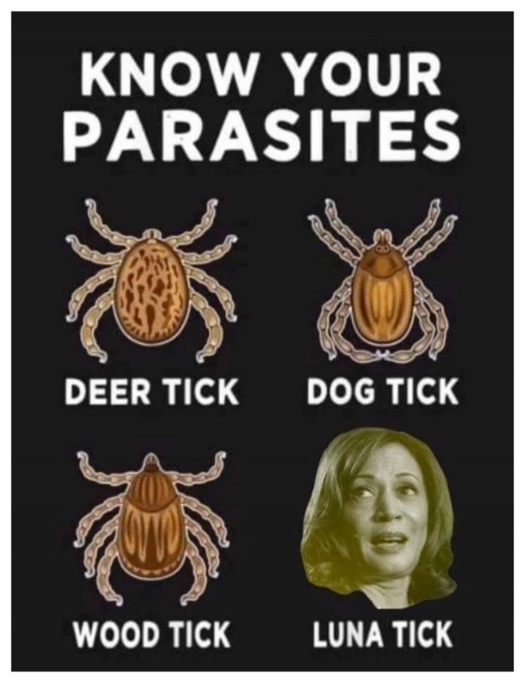 KNOW YOUR PARASITES DEER TICK DOG TICK WOOD TICK LUNA TICK
