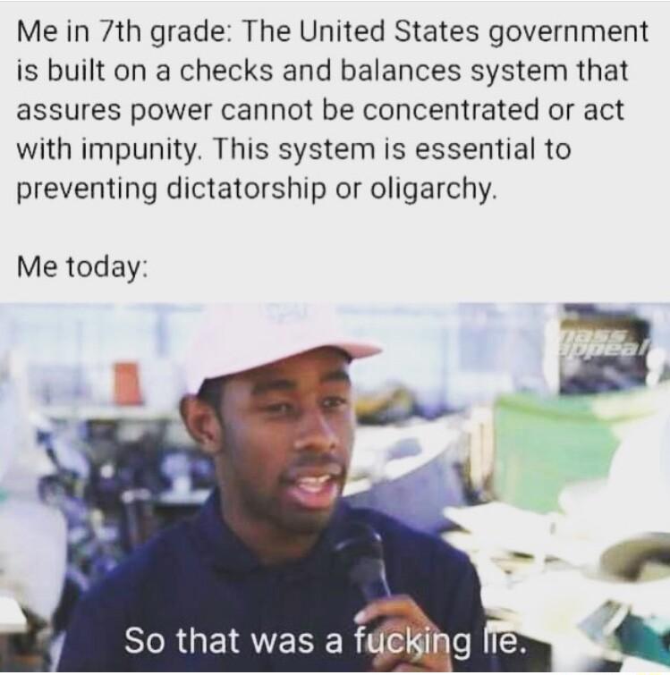 Me in 7th grade The United States government is built on a checks and balances system that assures power cannot be concentrated or act with impunity This system is essential to preventing dictatorship or oligarchy Me today