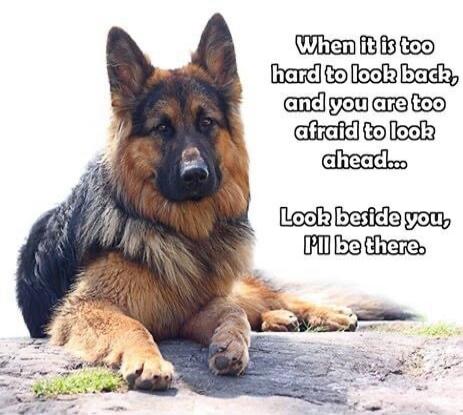 When it is too hard to look back, and you are too afraid to look ahead... Look beside you, I'll be there.