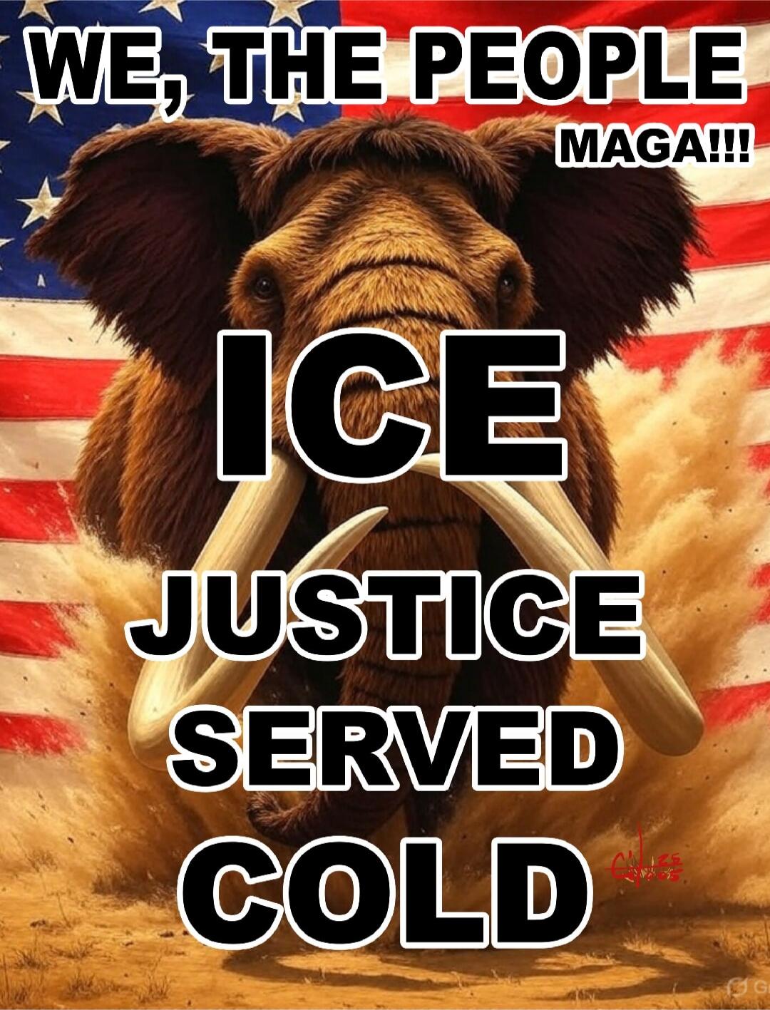 WE, THE PEOPLE MAGA!!! ICE JUSTICE SERVED COLD