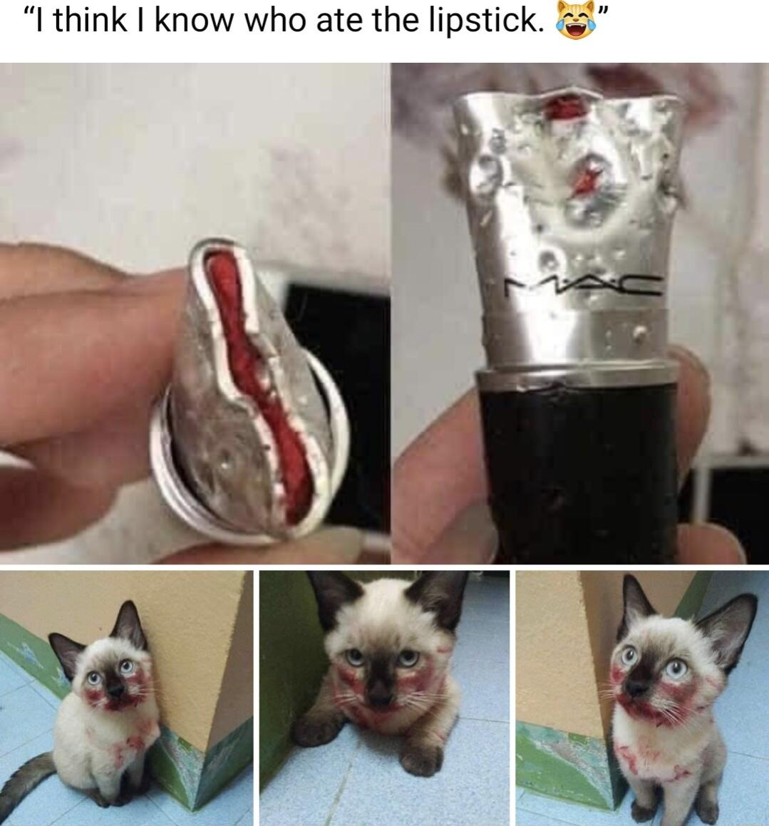 I think know who ate the lipstick
