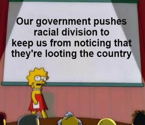 Our government push racial division to keep us from noticing th theyre looting the country
