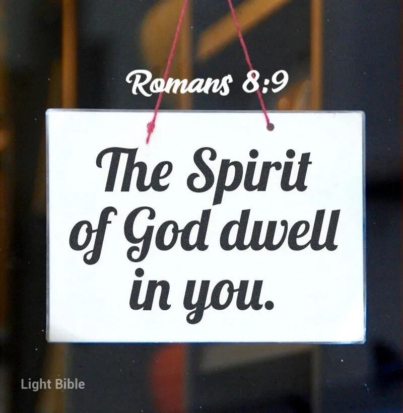 Romans 8:9 The Spirit of God dwell in you. Light Bible