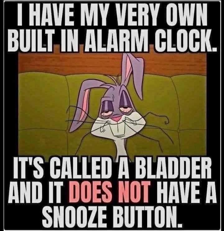 I HAVE MY VERY OWN BUILT IN ALARM CLOCK. IT'S CALLED A BLADDER AND IT DOES NOT HAVE A SNOOZE BUTTON.