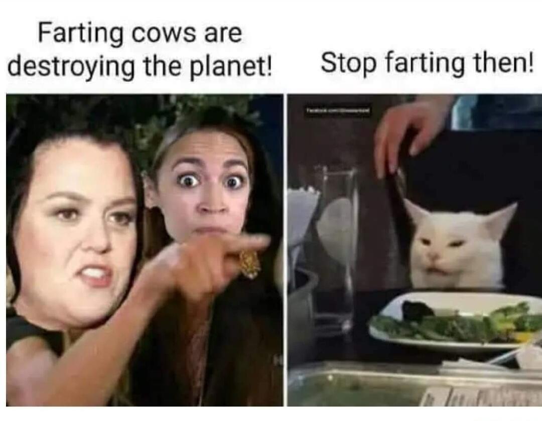 Farting cows are destroying the planet! Stop farting then!