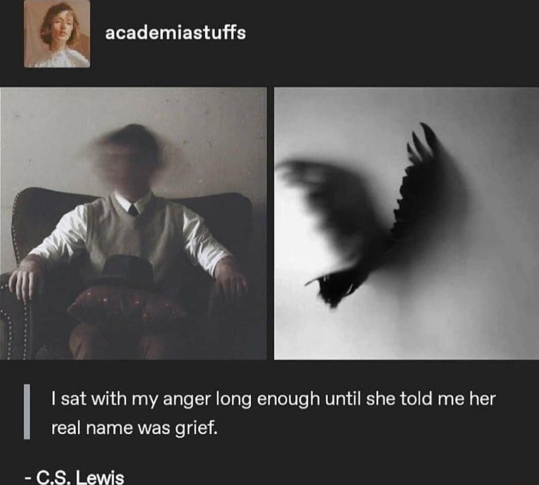 i academiastuffs e 1 sat with my anger long enough until she told me her real name was grief CS Lewis