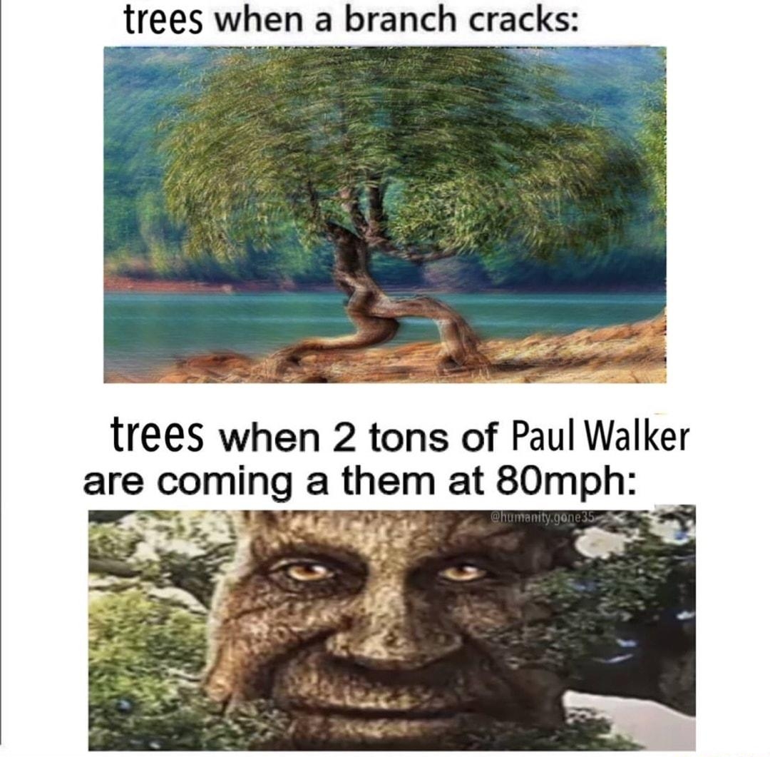 trees when 2 tons of Paul Walker are comlng a them at 80mph