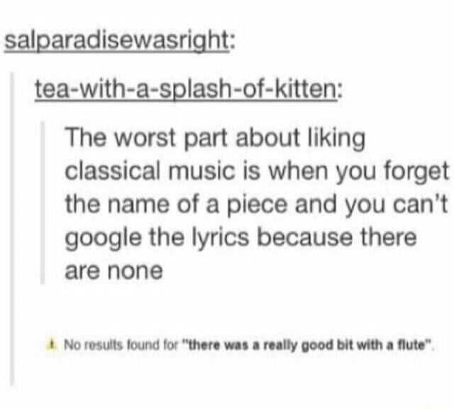 salparadisewasright: tea-with-a-splash-of-kitten: The worst part about liking classical music is when you forget the name of a piece and you can't google the lyrics because there are none. No results found for 