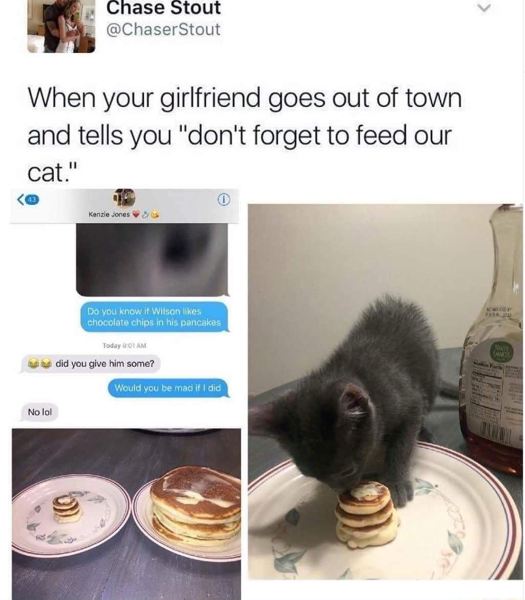 I Chase Stout ChaserStout When your girlfriend goes out of town and tells you dont forget to feed our cat