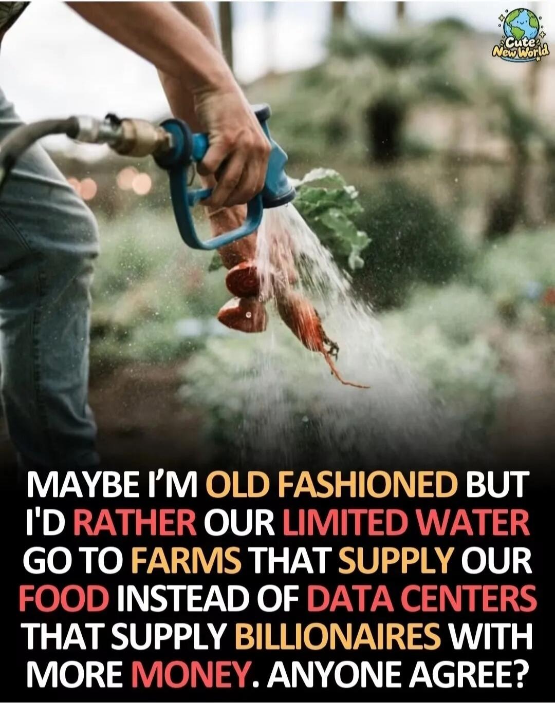 MAYBE I'M OLD FASHIONED BUT I'D RATHER OUR LIMITED WATER GO TO FARMS THAT SUPPLY OUR FOOD INSTEAD OF DATA CENTERS THAT SUPPLY BILLIONAIRES WITH MORE MONEY. ANYONE AGREE?