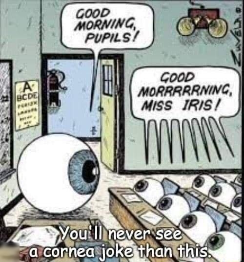 GOoD MORNING PuPILS Goo0D MORRRRRNING Miss IRIS