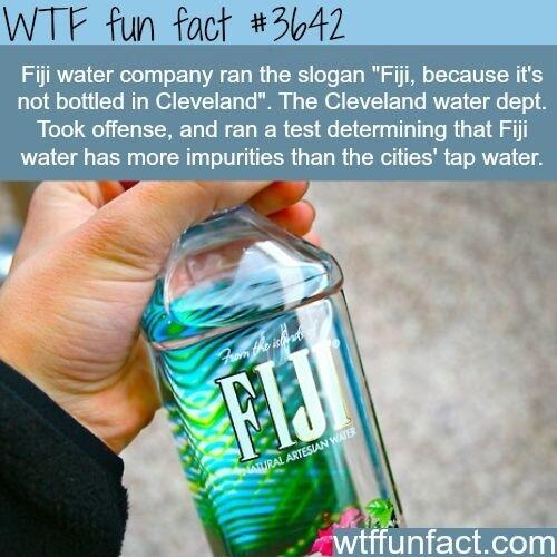 WTF fun fact 3042