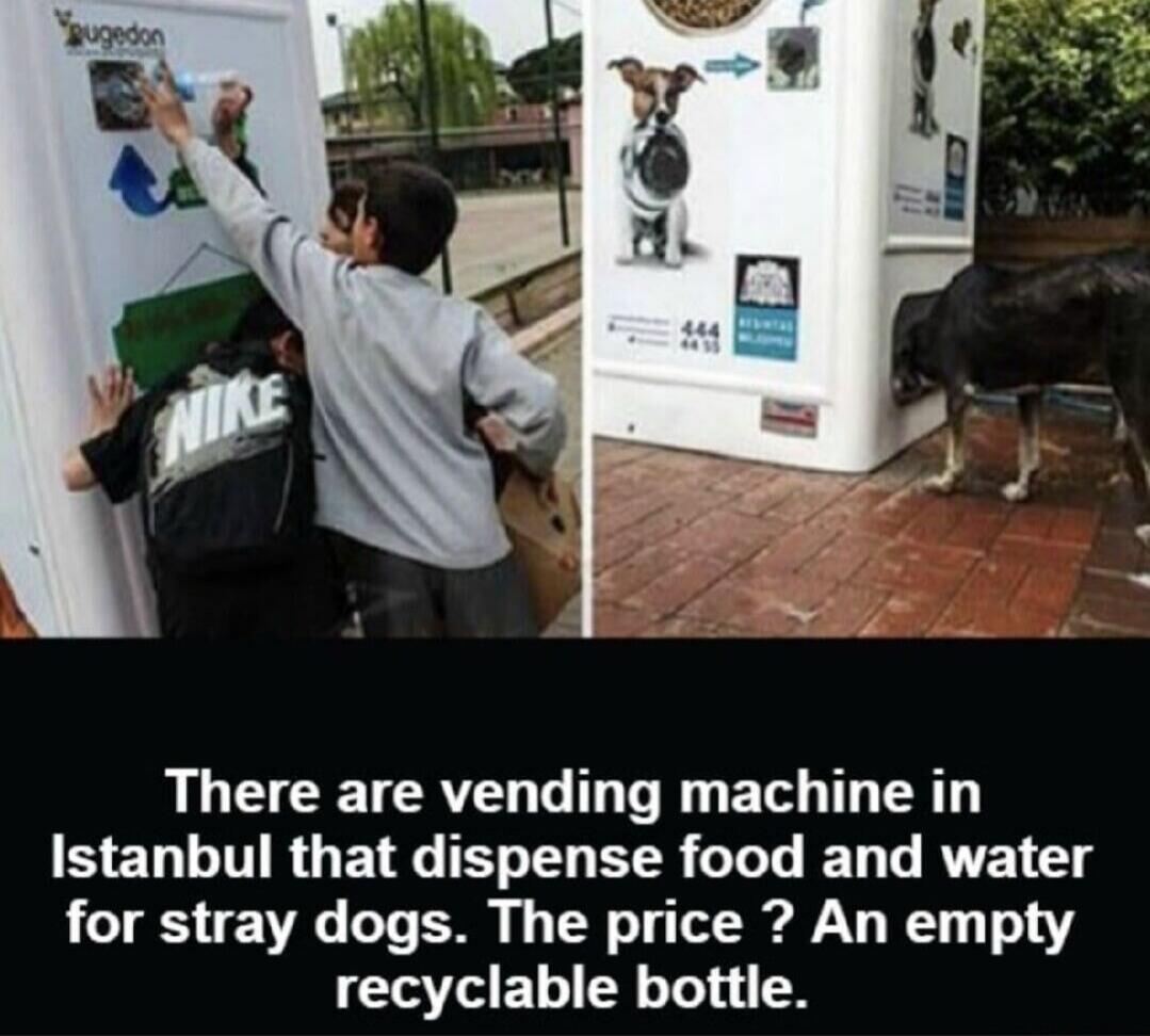 There are vending machine in Istanbul that dispense food and water for stray dogs. The price ? An empty recyclable bottle.