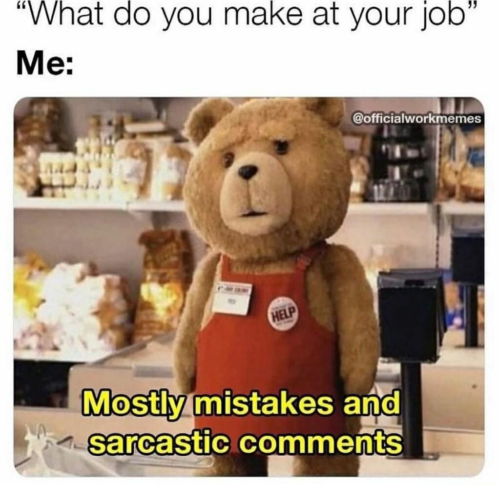 What do you make at your jJoo Stly mlstakes ang gsarcastic comments 3