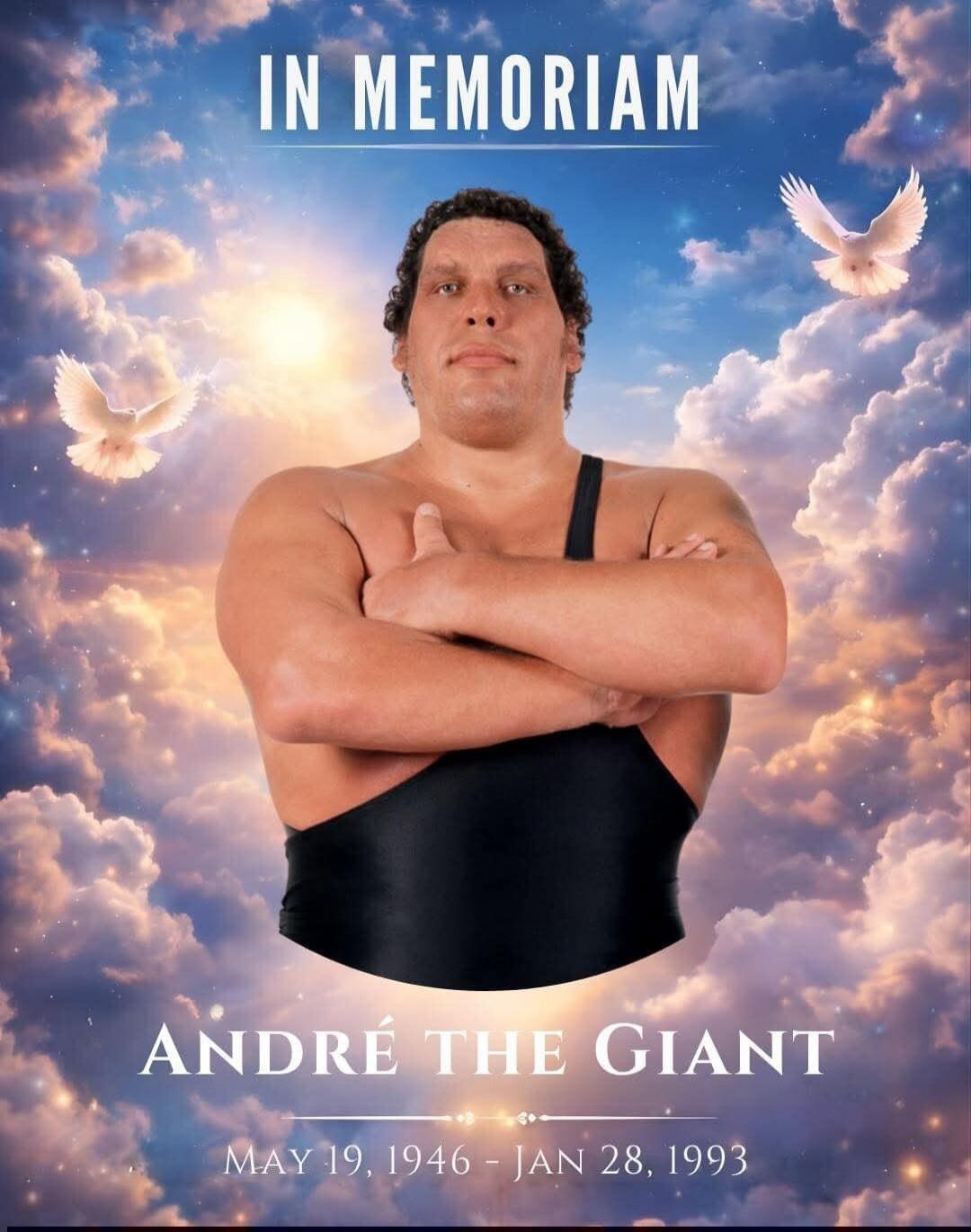 IN MEMORIAM ANDRÉ THE GIANT MAY 19, 1946 - JAN 28, 1993