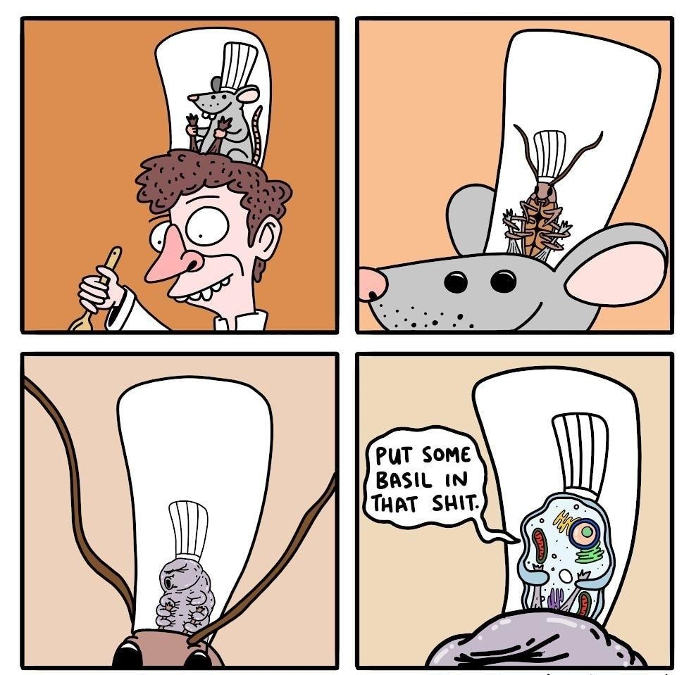 PUT SOME BASIL IN THAT SHIT delberatelyburied