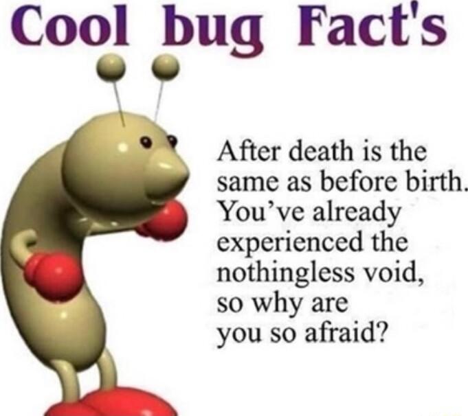 Cool bug Facts e After death is the same as before birth Youve already experienced the nothingless void so why are you so afraid