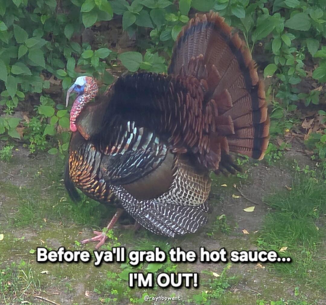 Before ya'll grab the hot sauce... I'M OUT!