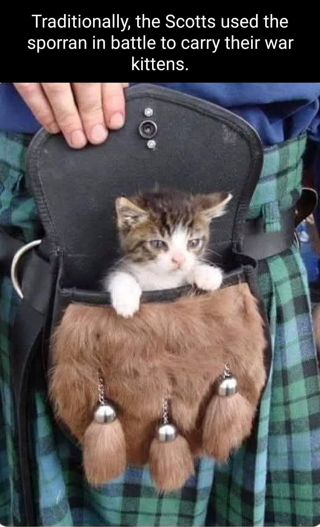 Traditionally the Scotts used the sporran in battle to carry their war kittens