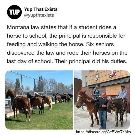 Yup That Exists yupthtexists Montana law states that if a student rides a horse to school the principal is responsible for feeding and walking the horse Six seniors discovered the law and rode their horses on the last day of school Their principal did his duties https discordggGCEVWRXAbX