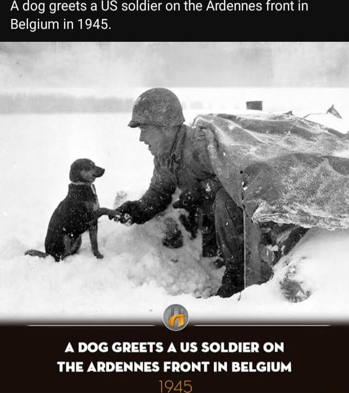 Belgium in 1945 A DOG GREETS A US SOLDIER ON THE ARDENNES FRONT IN BELGIUM