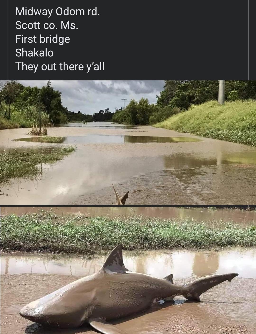 Jarod Hunt Follow Tueat629PM Midway Odom rd Scott co Ms First bridge Shakalo ALEEGEENE