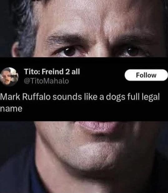 Tito: Freund 2 all @TitoMahalo Follow Mark Ruffalo sounds like a dogs full legal name