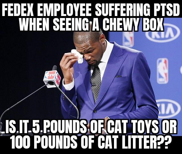 FEDEN EMPLOYEE SUFFERING PTSD WHEN SEEINGA CHEWYBOX IS IT9 PIIIIIIIIS IIFGHT TOYSIOR 100 POUNDS OF CAT LITTER