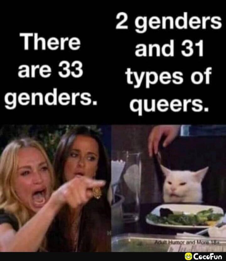 There are 33 genders. 2 genders and 31 types of queers. Adult Humor and More 18+