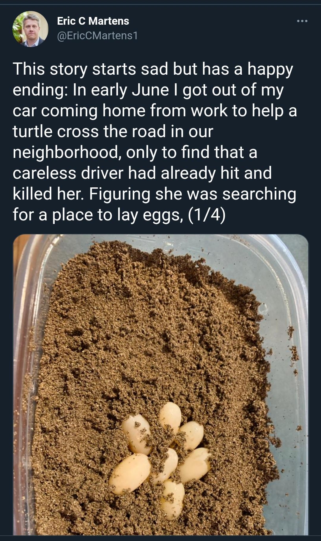 Yo V ETg 1 ge0Y ETg Ta Sy This story starts sad but has a happy ending In early June got out of my car coming home from work to help a turtle cross the road in our a1fegoegaloToTe MeTal VAR il ls R EY o1 IS N g e R T A i A T Lo killed her Figuring she was searching for a place to lay eggs 14