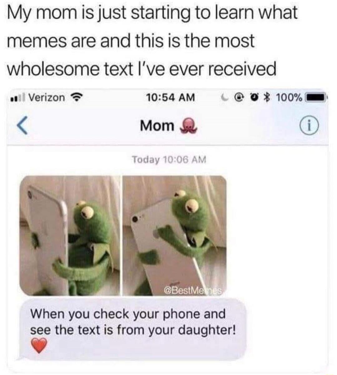 My mom is just starting to learn what memes are and this is the most wholesome text I've ever received

When you check your phone and see the text is from your daughter! ❤️