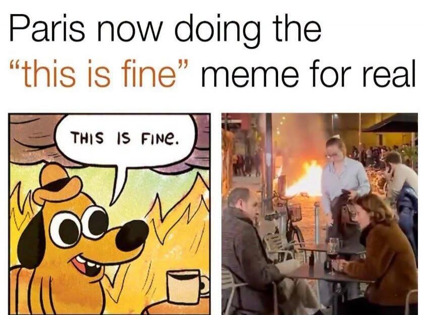 Paris now doing the 'this is fine' meme for real. THIS IS FINE.
