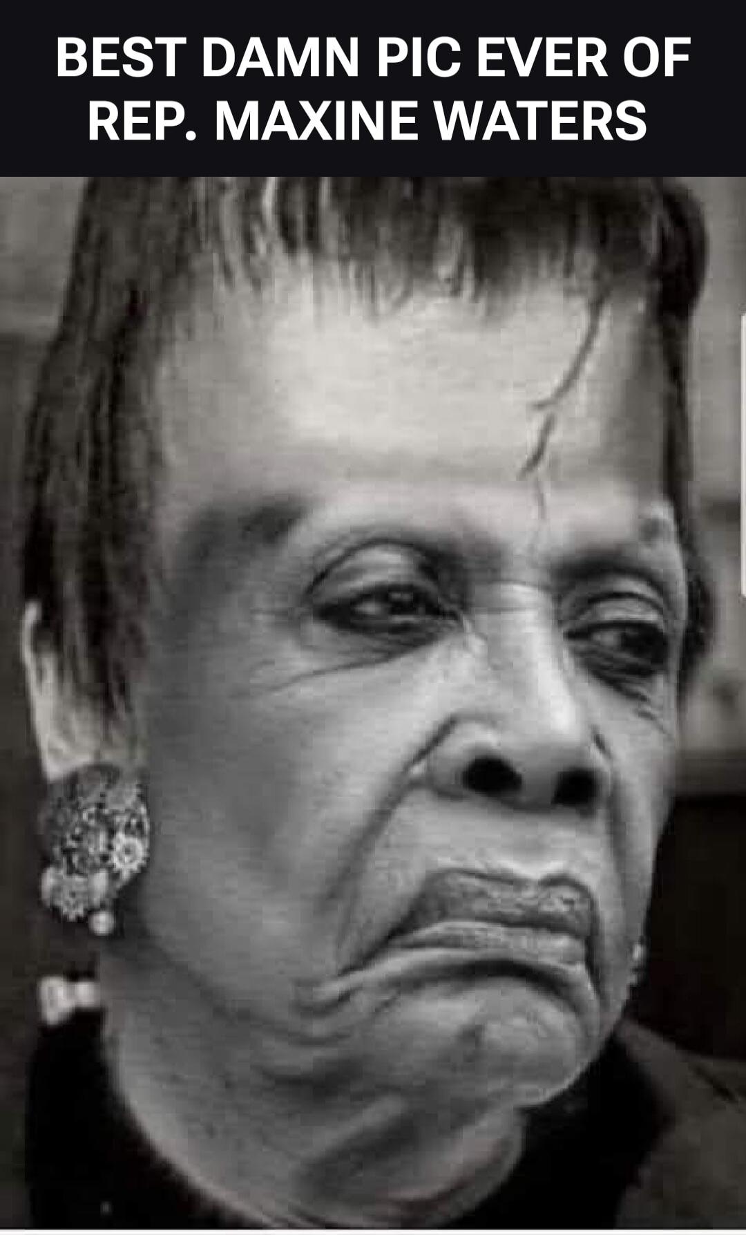 BEST DAMN PIC EVER OF REP. MAXINE WATERS