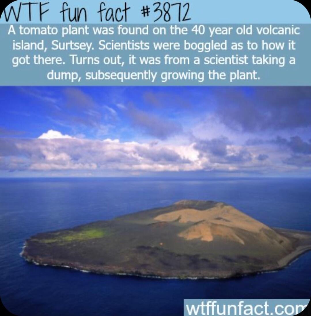 WTF fun fact 3872 N